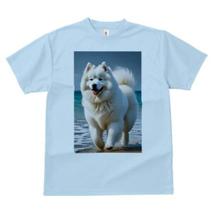 TGh TVc fB[X t@  t  vg JWA 킢 lԗp h ̃fUC ʔ C TGh l g