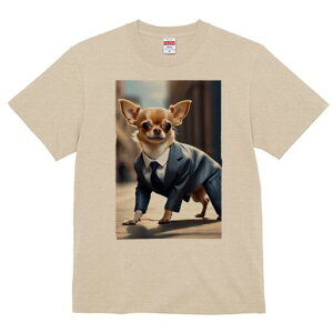 ` TVc fB[X t@  t  vg JWA 킢 lԗp h ̃fUC ʔ X[c ` lN^C