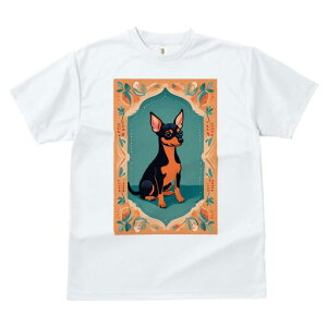 ~j`AsV[ TVc Y LbY t@  t  vg JWA 킢 lԗp h ̃fUC ʔ A ~j`AsV[  t[