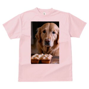 S[fgo[ TVc fB[X t@  t  vg JWA 킢 lԗp h ̃fUC ʔ p S[fgo[ Ăَq