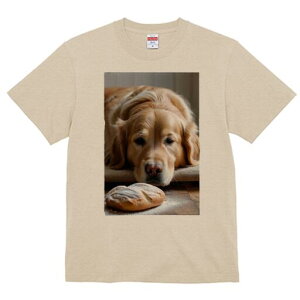 S[fgo[ TVc fB[X t@  t  vg JWA 킢 lԗp h ̃fUC ʔ p S[fgo[