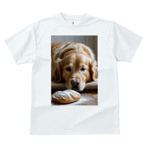 S[fgo[ TVc fB[X t@  t  vg JWA 킢 lԗp h ̃fUC ʔ p S[fgo[