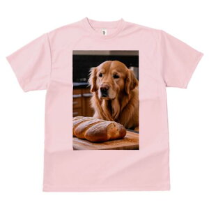 S[fgo[ TVc fB[X t@  t  vg JWA 킢 lԗp h ̃fUC ʔ p S[fgo[ Ăَq Hi fU[