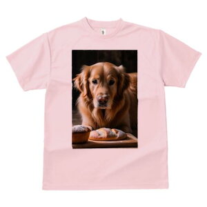 S[fgo[ TVc fB[X t@  t  vg JWA 킢 lԗp h ̃fUC ʔ p S[fgo[ Ăَq 