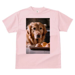 S[fgo[ TVc fB[X t@  t  vg JWA 킢 lԗp h ̃fUC ʔ p S[fgo[ Ăَq