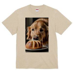 S[fgo[ TVc fB[X t@  t  vg JWA 킢 lԗp h ̃fUC ʔ p S[fgo[