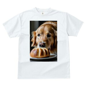 ゴールデンレトリバー Tシャツ レディース 犬ファン 半袖 春夏 犬柄 プリント カジュアル かわいい 人間用 個性派 ここだけのデザイン 面白 パン ゴールデンレトリバー