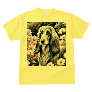 AtKnEh TVc fB[X t@  t  vg JWA 킢 lԗp h ̃fUC ʔ  AtKnEh sN