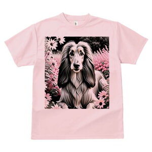 AtKnEh TVc fB[X t@  t  vg JWA 킢 lԗp h ̃fUC ʔ  AtKnEh sN̉