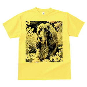 AtKnEh TVc fB[X t@  t  vg JWA 킢 lԗp h ̃fUC ʔ  AtKnEh fCW[ 