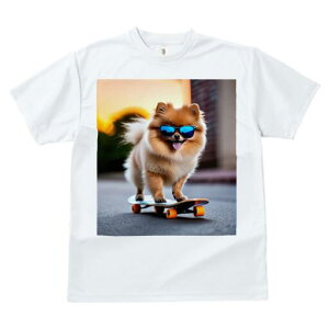 |jA TVc fB[X t@  t  vg JWA 킢 lԗp h ̃fUC ʔ TOX |jA XP[g{[h