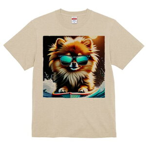 |jA TVc Y LbY t@  t  vg JWA 킢 lԗp h ̃fUC ʔ TOX |jA T[tB  C