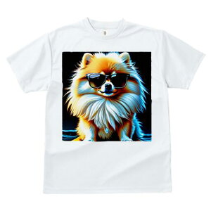 |jA TVc fB[X t@  t  vg JWA 킢 lԗp h ̃fUC ʔ TOX |jA