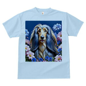 AtKnEh TVc fB[X t@  t  vg JWA 킢 lԗp h ̃fUC ʔ  AtKnEh wi sN̉ 