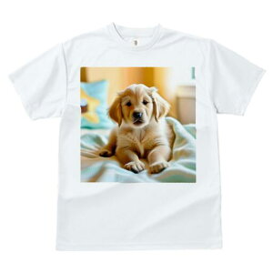 S[fgo[ TVc fB[X t@  t  vg JWA 킢 lԗp h ̃fUC ʔ xbh S[fgo[ ѕz 