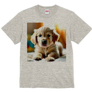 S[fgo[ TVc fB[X t@  t  vg JWA 킢 lԗp h ̃fUC ʔ S[fgo[