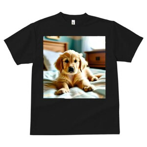 S[fgo[ TVc fB[X t@  t  vg JWA 킢 lԗp h ̃fUC ʔ xbh S[fgo[