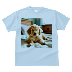 S[fgo[ TVc fB[X t@  t  vg JWA 킢 lԗp h ̃fUC ʔ xbh S[fgo[