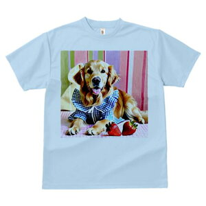 S[fgo[ TVc fB[X t@  t  vg JWA 킢 lԗp h ̃fUC ʔ C`S S[fgo[ 