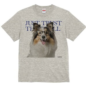 VFbghV[vhbO TVc Y LbY t@  t  vg JWA 킢 lԗp h ̃fUC ʔ Kl VFbghV[vhbO