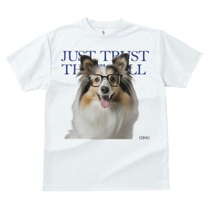 VFbghV[vhbO TVc Y LbY t@  t  vg JWA 킢 lԗp h ̃fUC ʔ Kl VFbghV[vhbO