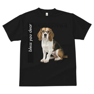 r[O TVc Y LbY t@  t  vg JWA 킢 lԗp h ̃fUC ʔ Kl r[O