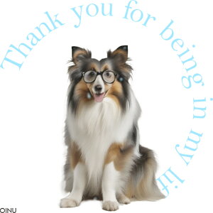 Kl VFbghV[vhbO NbVJo[ 45×45cm Aj}   NbV{̕t ` t@