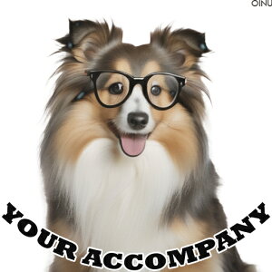 Kl VFbghV[vhbO NbVJo[ 45×45cm Aj}   NbV{̕t ` t@