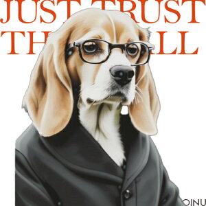 Kl r[O X[c NbVJo[ 45×45cm Aj}   NbV{̕t ` t@