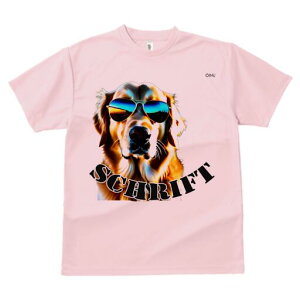 S[fgo[ TVc fB[X t@  t  vg JWA 킢 lԗp h ̃fUC ʔ TOX S[fgo[