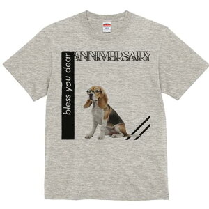 r[O TVc Y LbY t@  t  vg JWA 킢 lԗp h ̃fUC ʔ Kl r[O