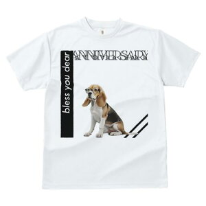 r[O TVc fB[X t@  t  vg JWA 킢 lԗp h ̃fUC ʔ Kl r[O