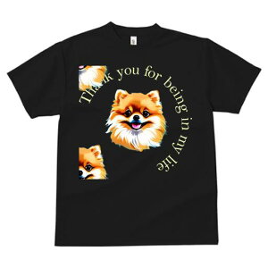 |jA TVc fB[X t@  t  vg JWA 킢 lԗp h ̃fUC ʔ TVc |jA