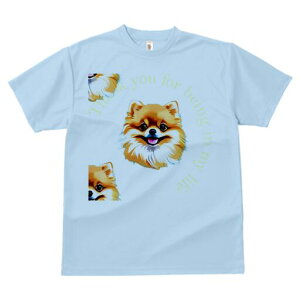 |jA TVc fB[X t@  t  vg JWA 킢 lԗp h ̃fUC ʔ TVc |jA