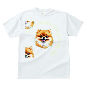 |jA TVc fB[X t@  t  vg JWA 킢 lԗp h ̃fUC ʔ TVc |jA