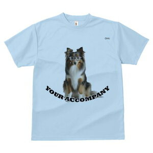 VFbghV[vhbO TVc Y LbY t@  t  vg JWA 킢 lԗp h ̃fUC ʔ Kl VFbghV[vhbO