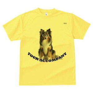 VFbghV[vhbO TVc Y LbY t@  t  vg JWA 킢 lԗp h ̃fUC ʔ Kl VFbghV[vhbO