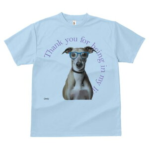 C^AO[nEh TVc Y LbY t@  t  vg JWA 킢 lԗp h ̃fUC ʔ Kl C^AO[nEh