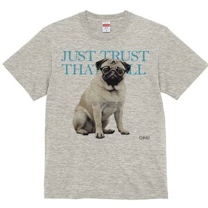 pO TVc fB[X t@  t  vg JWA 킢 lԗp h ̃fUC ʔ Kl pO