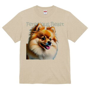 |jA TVc fB[X t@  t  vg JWA 킢 lԗp h ̃fUC ʔ |jA