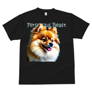 |jA TVc fB[X t@  t  vg JWA 킢 lԗp h ̃fUC ʔ |jA