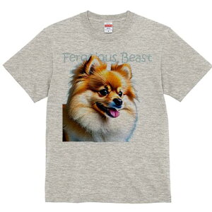 |jA TVc fB[X t@  t  vg JWA 킢 lԗp h ̃fUC ʔ |jA