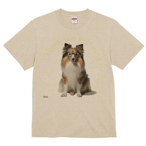 VFbghV[vhbO TVc Y LbY t@  t  vg JWA 킢 lԗp h ̃fUC ʔ Kl VFbghV[vhbO