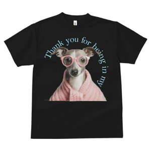 C^AO[nEh TVc Y LbY t@  t  vg JWA 킢 lԗp h ̃fUC ʔ Kl C^AO[nEh Z[^