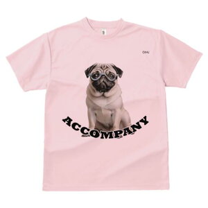 pO TVc fB[X t@  t  vg JWA 킢 lԗp h ̃fUC ʔ Kl pO