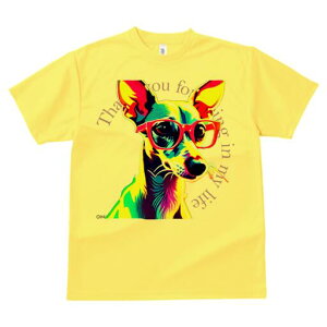 C^AO[nEh TVc Y LbY t@  t  vg JWA 킢 lԗp h ̃fUC ʔ Kl C^AO[nEh |bv