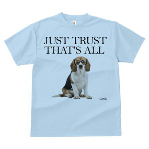 r[O TVc Y LbY t@  t  vg JWA 킢 lԗp h ̃fUC ʔ Kl r[O