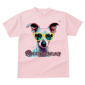 C^AO[nEh TVc Y LbY t@  t  vg JWA 킢 lԗp h ̃fUC ʔ Kl C^AO[nEh