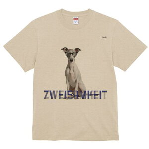 C^AO[nEh TVc Y LbY t@  t  vg JWA 킢 lԗp h ̃fUC ʔ Kl C^AO[nEh