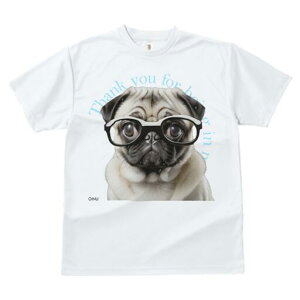 pO TVc fB[X t@  t  vg JWA 킢 lԗp h ̃fUC ʔ Kl pO